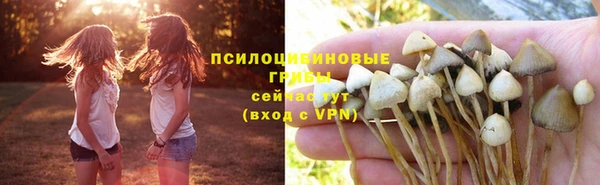 мескалин Покачи